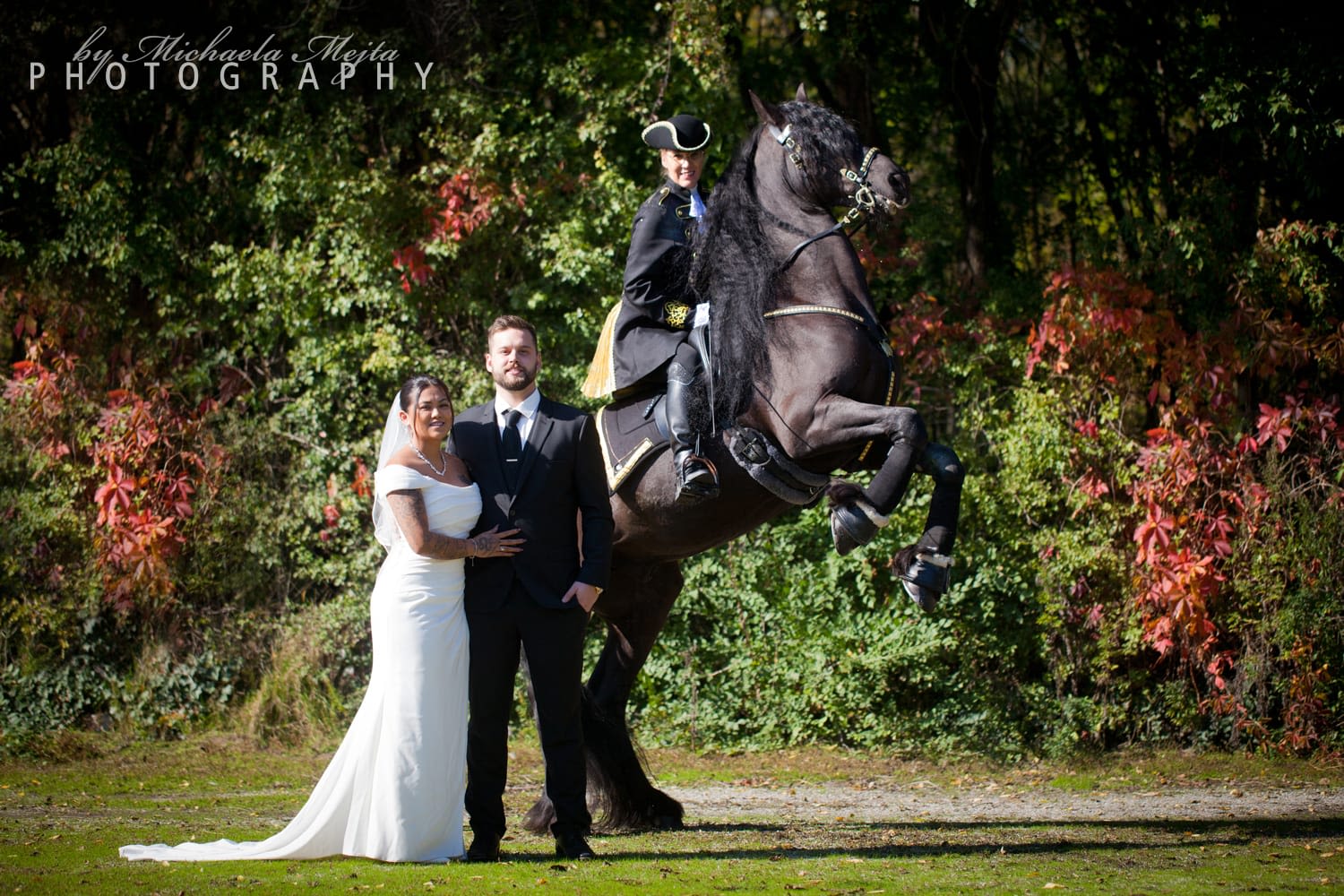 Marino-The Horse Of Dreams