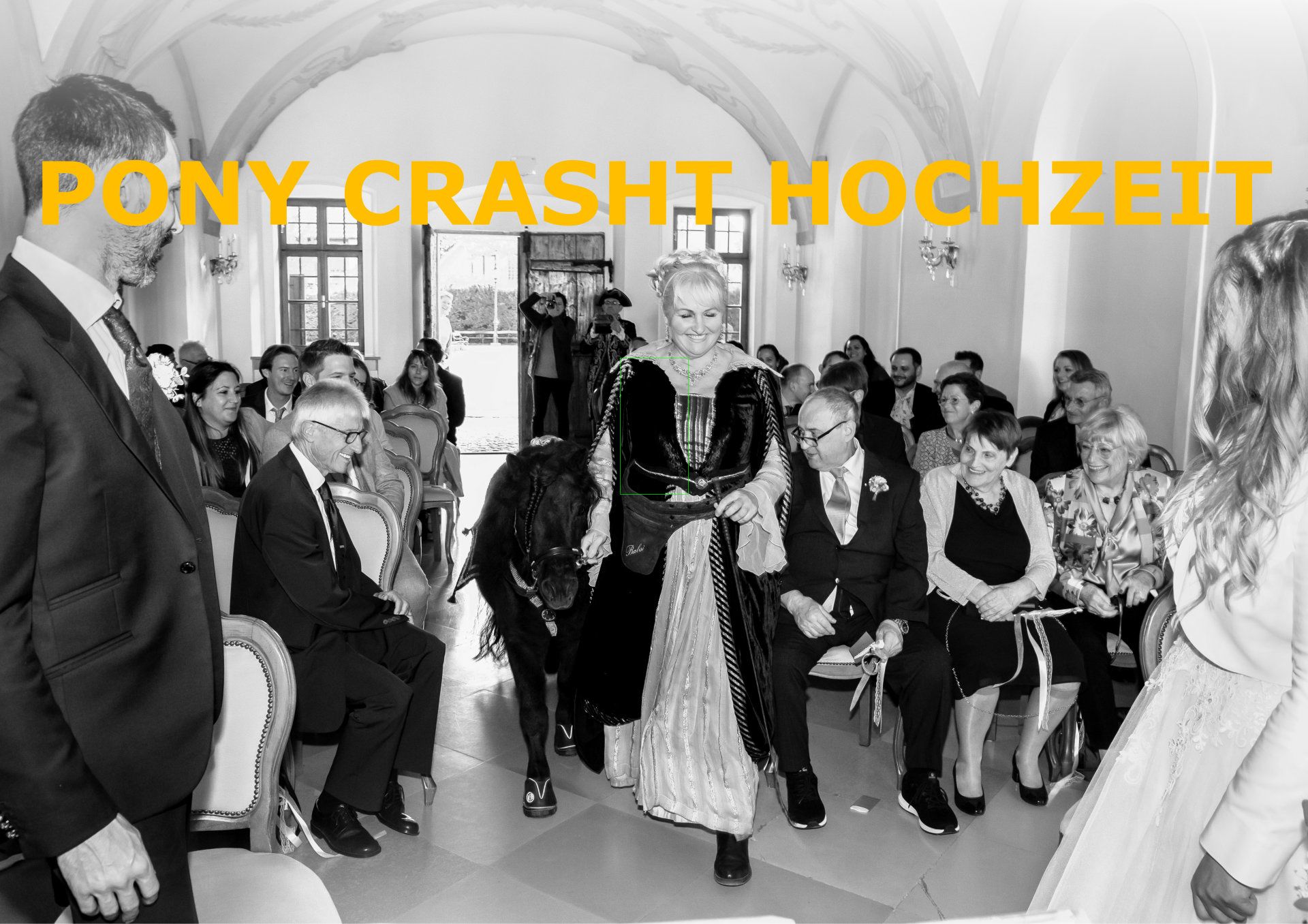 Von Ponys bis Party: Ein Hochzeit im Lenausaal in Stockerau, die zum Wiehern schön war! Von Ponys bis Party: Ein Hochzeit im Lenausaal in Stockerau, die zum Wiehern schön war!