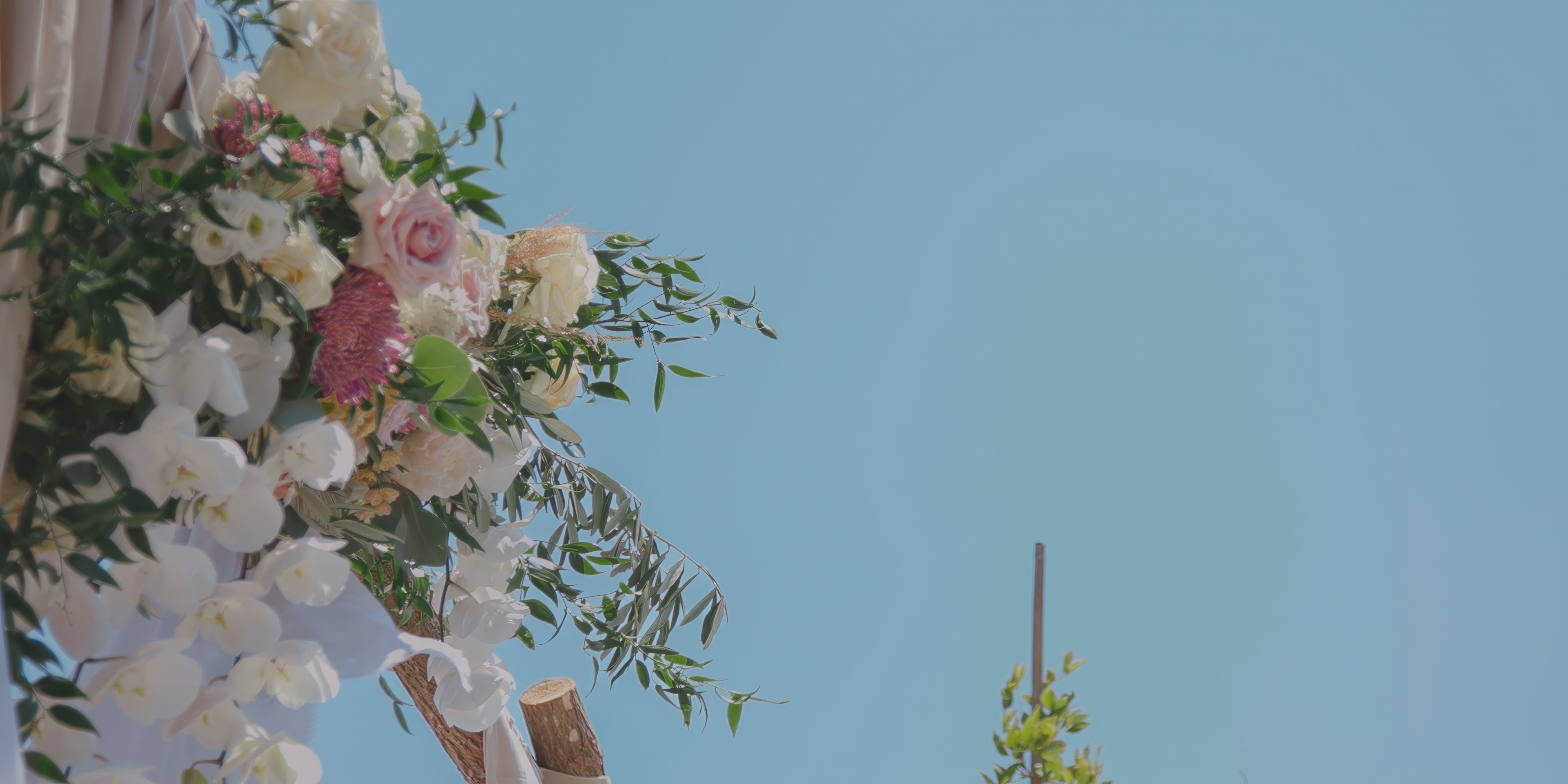 Hochzeit im idyllischen Weingut