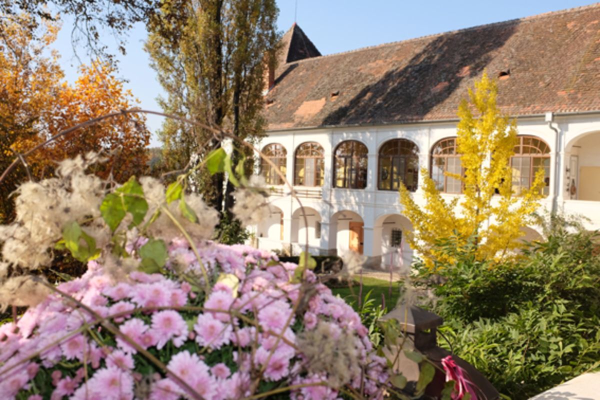 Schloss Welsdorf Schloss Welsdorf