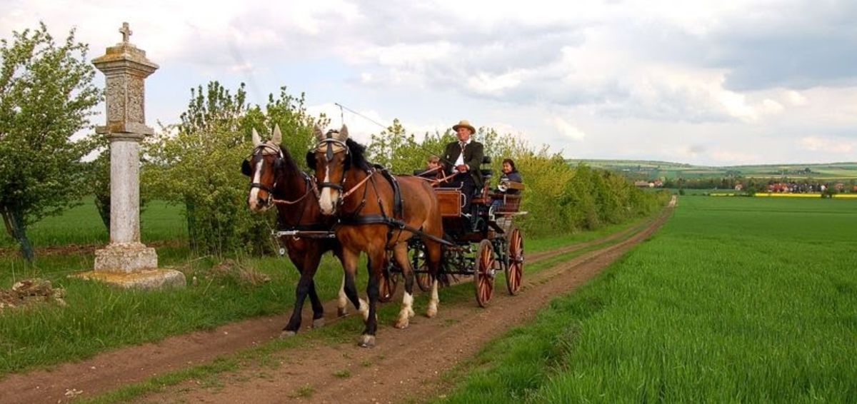 © https://media.hochzeit.click/image/upload/w_1200,c_fill,dpr_auto,f_auto/v1632589275/hochzeitclick01/tfh8tmwxwzuyprnjgjgb.jpg Weinviertler Kutschenfahrbetrieb