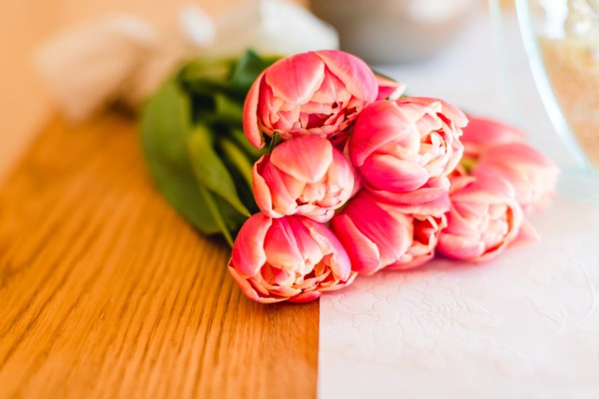 Hochzeitsreportage in Tirol: Hohe Mut Alm ♥ Inspirationsbilder: von ...