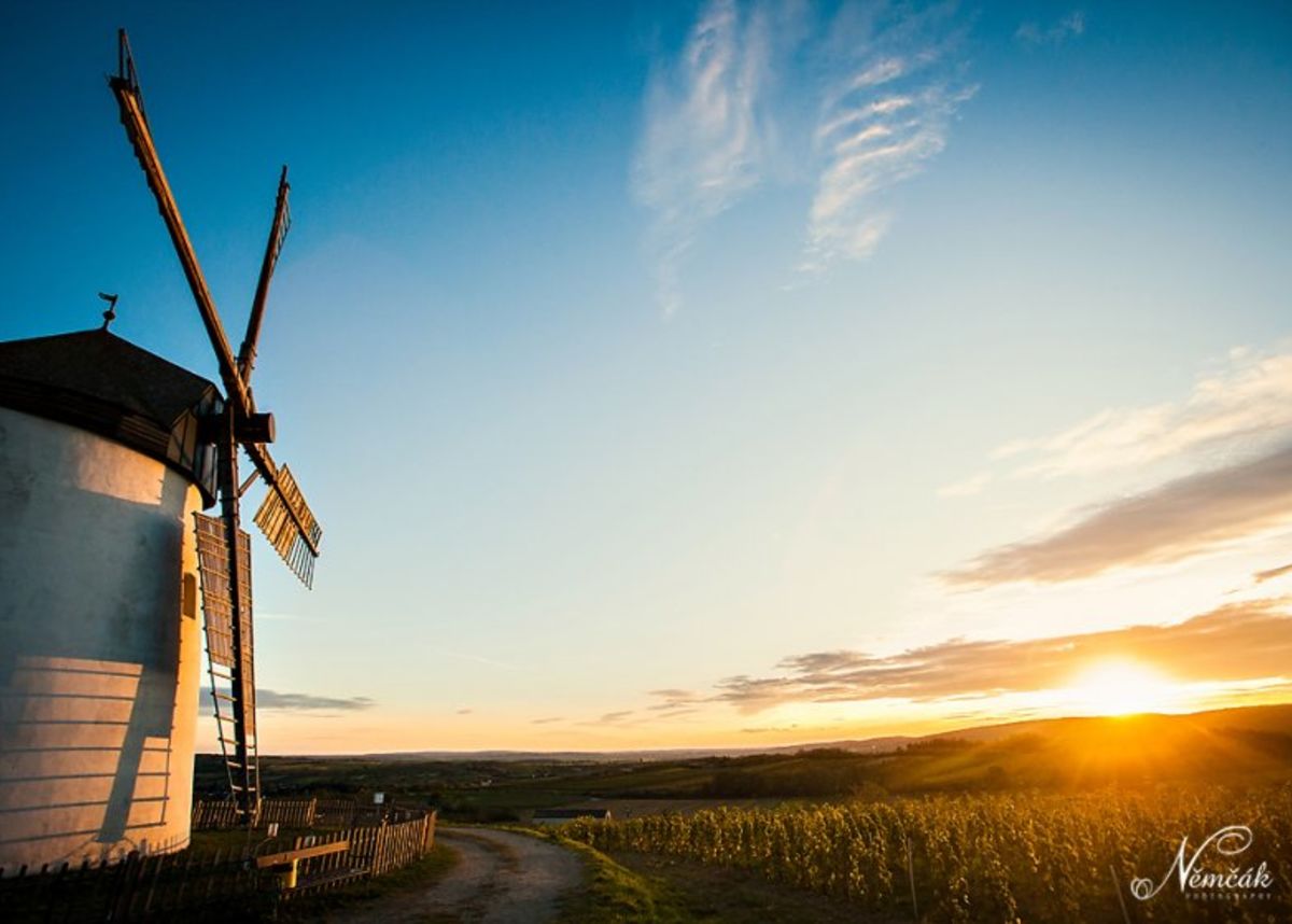 Hochzeitsreportage in Niederösterreich Windmühle Retz ♥