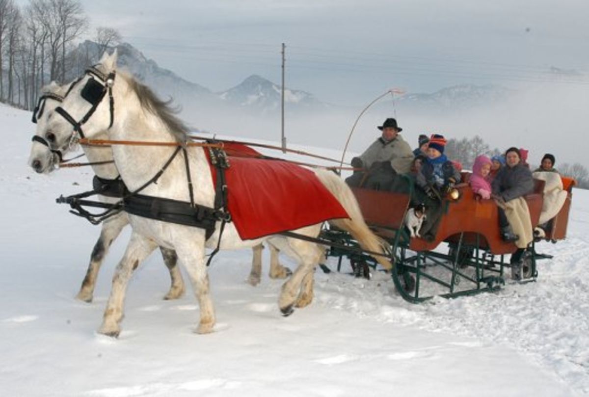 © https://media.hochzeit.click/image/upload/w_1200,c_fill,dpr_auto,f_auto/v1666108777/hochzeitclick01/47778/Bild-11.jpg Traunsee Fiaker