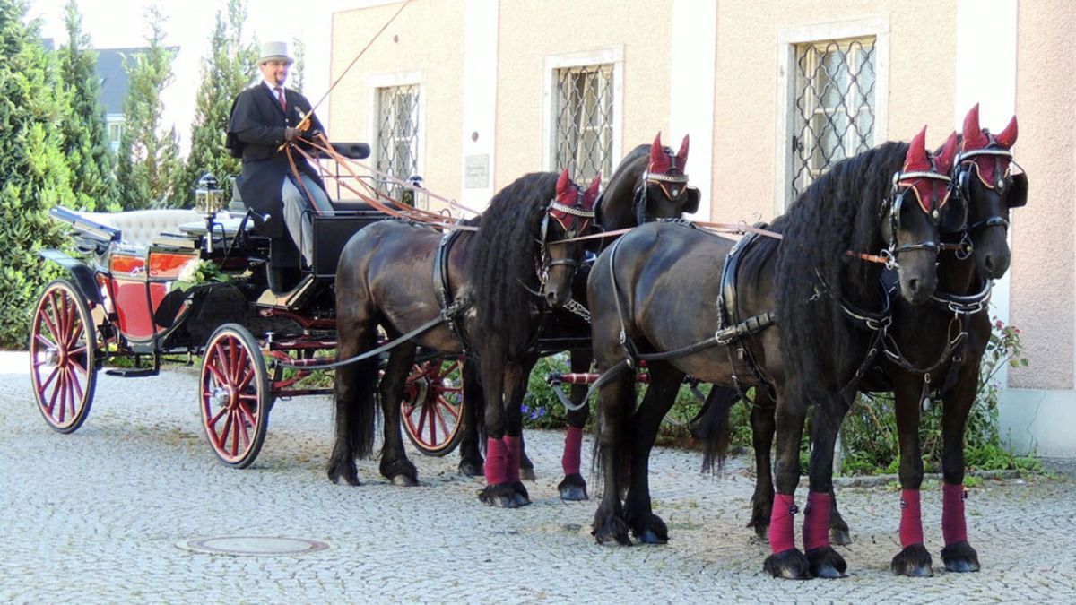© https://media.hochzeit.click/image/upload/w_1200,c_fill,dpr_auto,f_auto/v1666108783/hochzeitclick01/47775/image-2.jpg Der Hochzeitskutscher