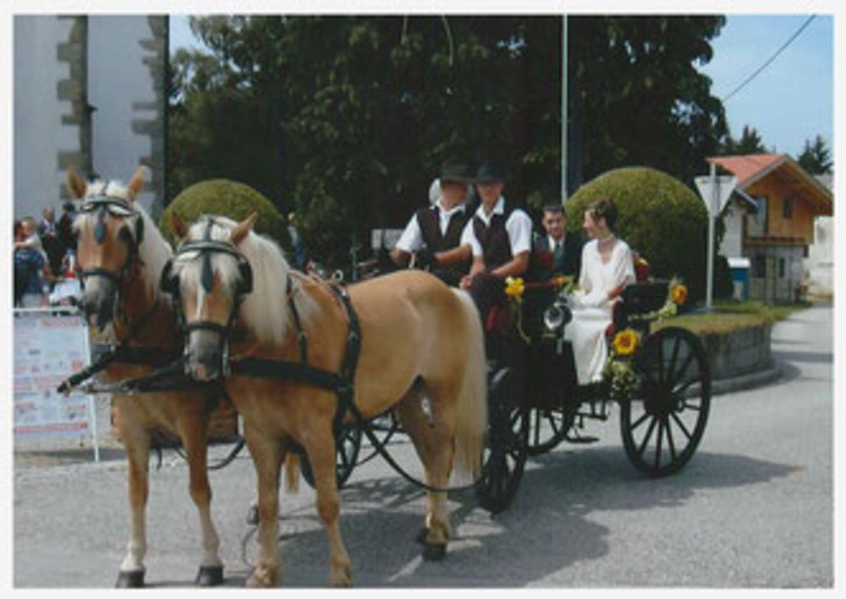 © https://media.hochzeit.click/image/upload/w_1200,c_fill,dpr_auto,f_auto/v1666108790/hochzeitclick01/47772/image.jpg Ein Bett im Kornfeld