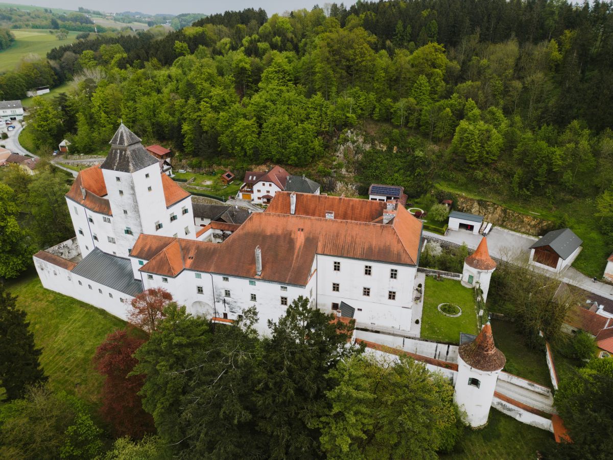 Schloss Seisenegg