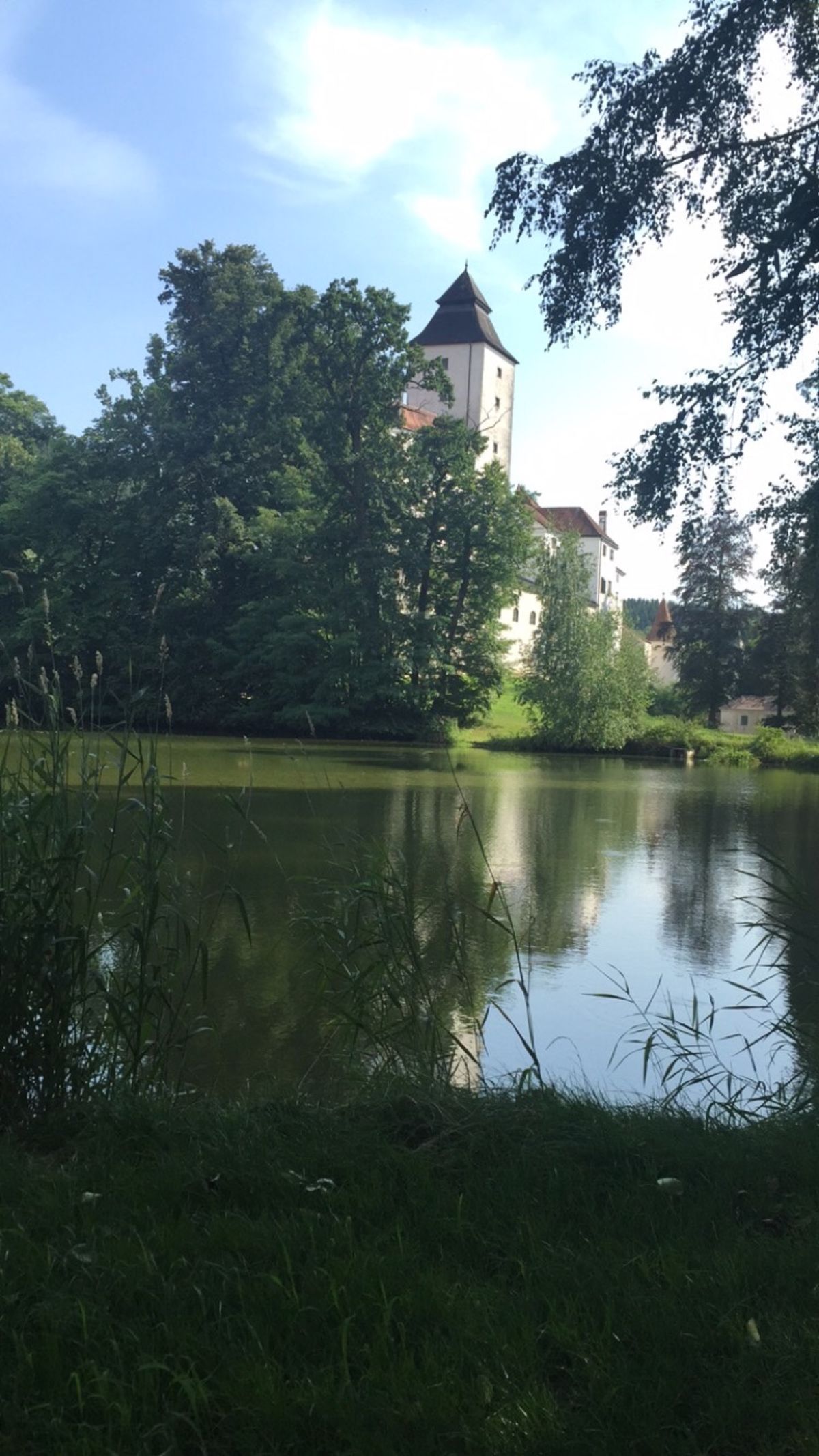 Schloss Seisenegg