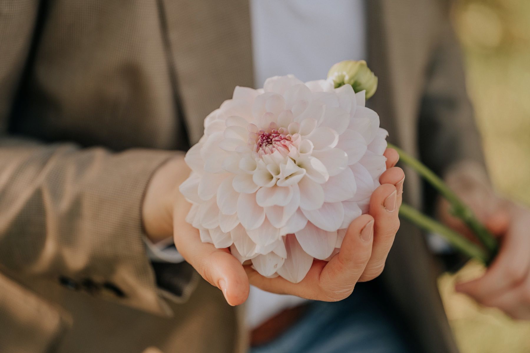 Meisterfloristin Maria Ebner