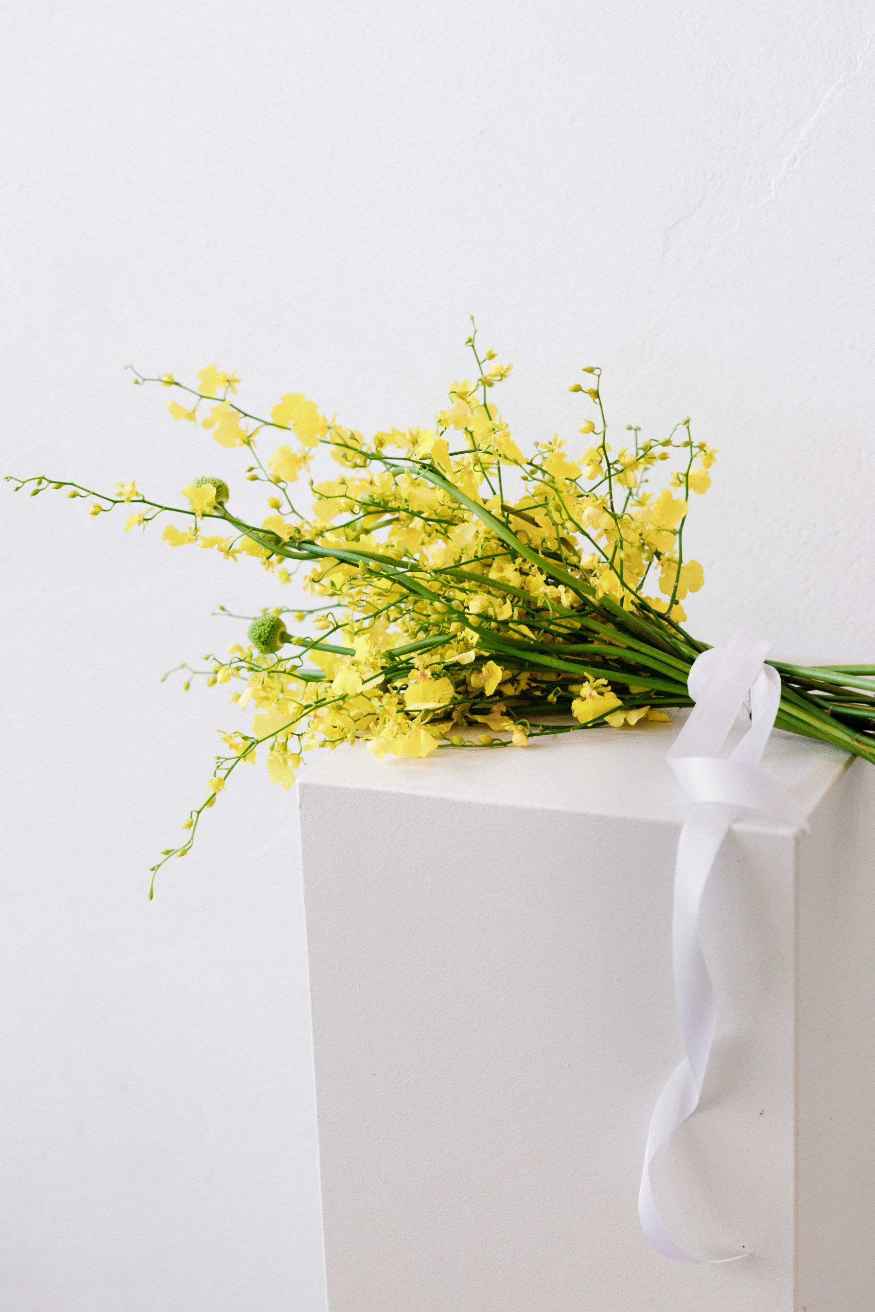 © Marcella Ruiz Cruz REGENBOGENWERKSTATT