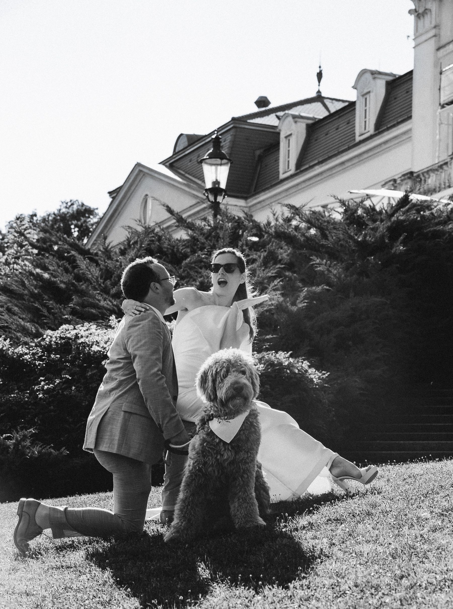 © LauraProPhoto LauraProPhoto