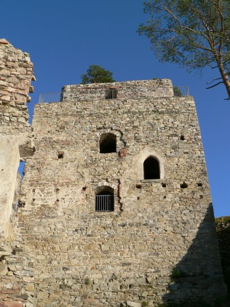 Burgruine Dobra