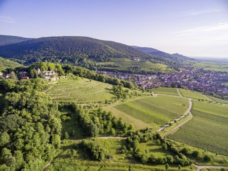 Schloss Kropsburg