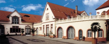 Palais Schloss Wachenheim