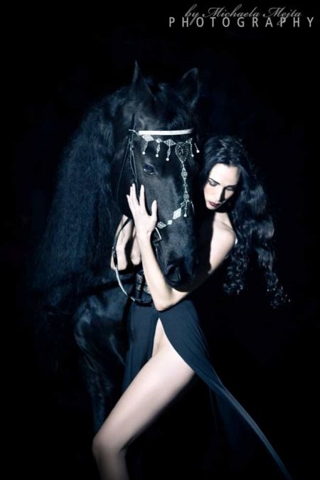 Marino-The Horse Of Dreams