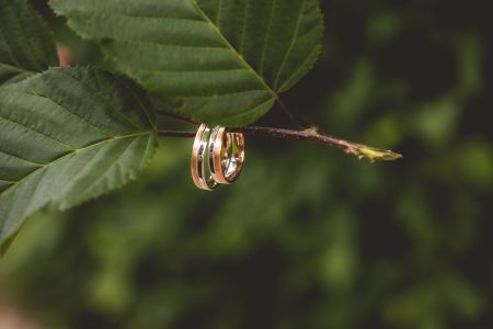 © Subert Photo Subert Photo