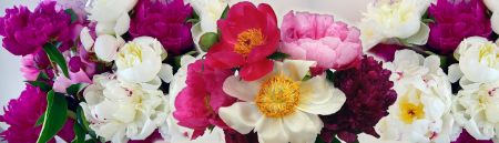 BlumenStudio Kolberger