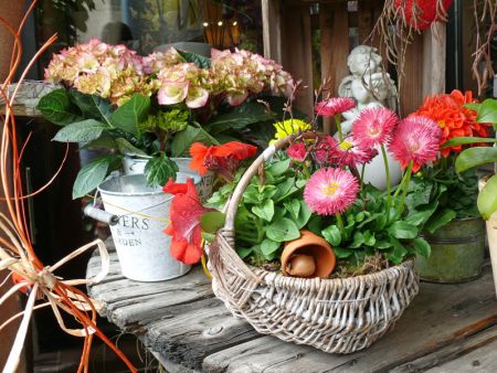 Gitterseeflorist Cornelia Rost Inh. Nicole Hesse