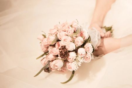 BLUMENCOMPANY Meisterfloristik & Design