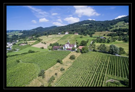 Schloss Weinstein