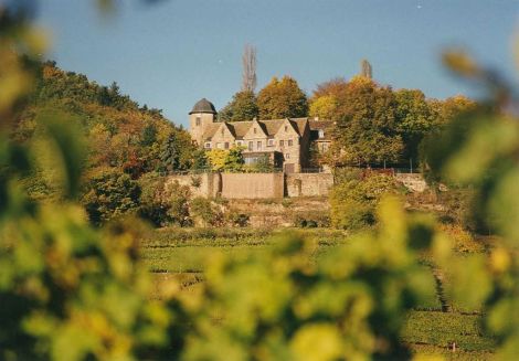 Schloss Kropsburg