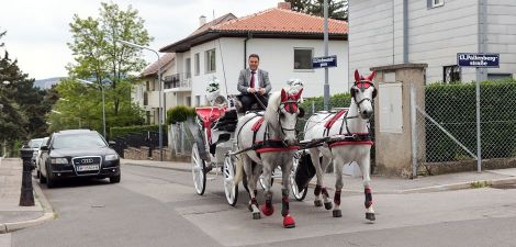 Rikal Fiaker Wien