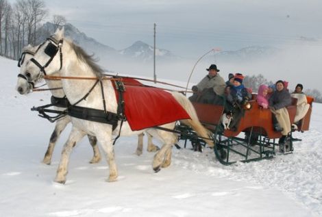 Traunsee Fiaker