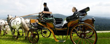 Kutschenerlebnis Familie Fetz