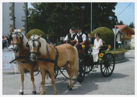 Ein Bett im Kornfeld