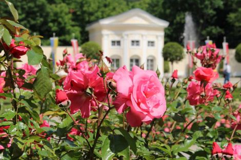 Thermenvilla Gutenbrunn