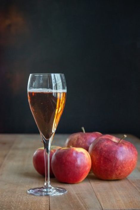 JULES VERNE Königswinter