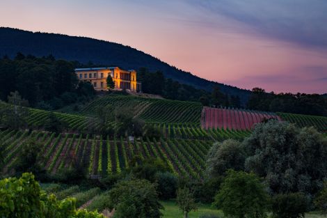 Schloss Villa Ludwigshöhe