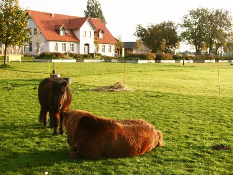 Gutshaus auf dem Landwert Hof