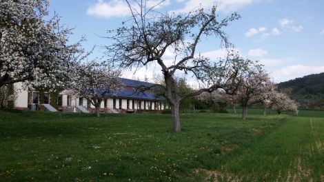 Alter Obstkeller