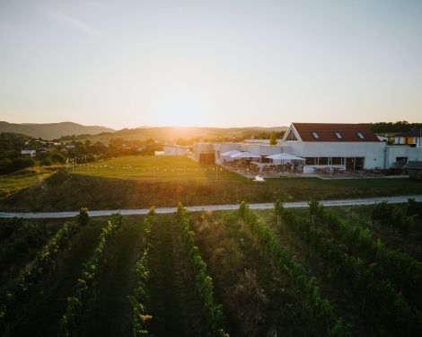 WEINGUT & WEINBLICK Grafinger