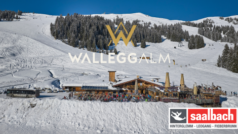 Walleggalm