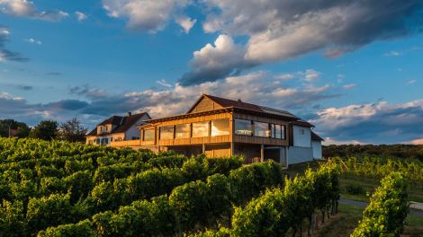 Weingut Edelsbrunner