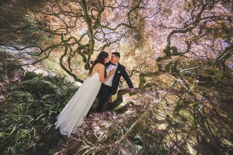 Team Schnurrbart Foto & Film