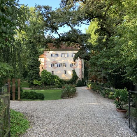 Burg Schaubeck - Weingut Graf Adelmann