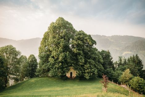 Naturhochzeit unter den Linden