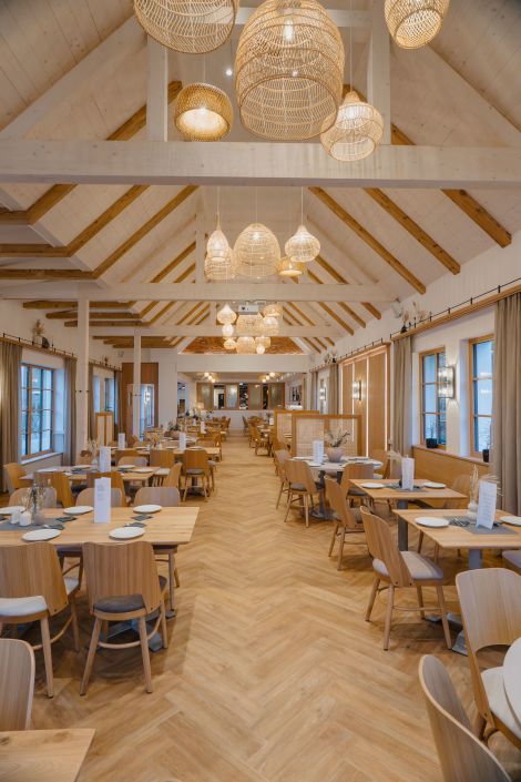 SEITNgassl & OLIVium