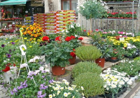 Gitterseeflorist Cornelia Rost Inh. Nicole Hesse