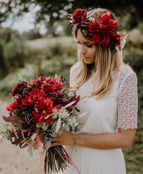 Stielecht Floristik | Blumen, Pflanzen und Köln