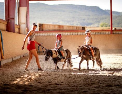 Shettylando Miniponys