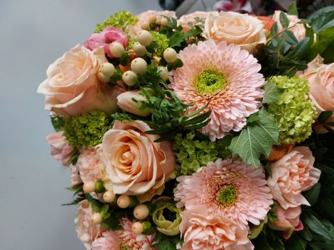 Rosenblüte