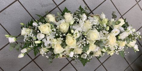 Hamburg Floristik