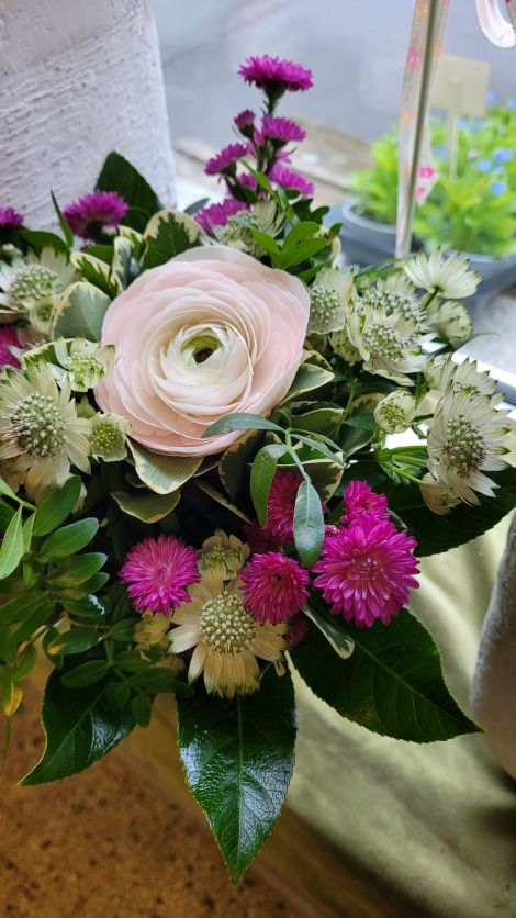 Pusteblume