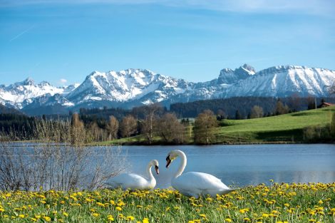 Seepark Restaurant Schwaltenweiher