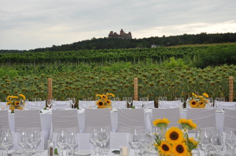 Weingut Holzer
