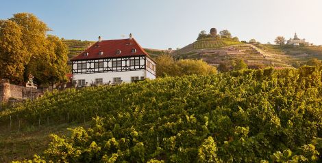 Weingut Hoflößnitz